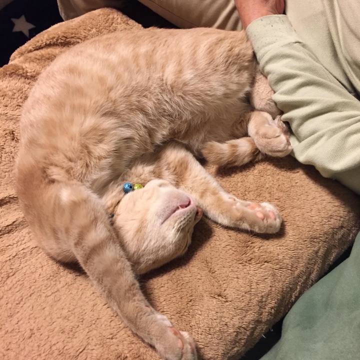 14bf8871 ee36 4125 a929 53805193619a 1571411198297