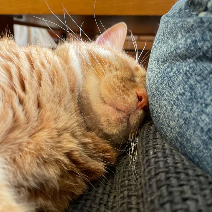 14bf8f67 4dd5 4489 aa99 4bf294fc985b 1764737715536