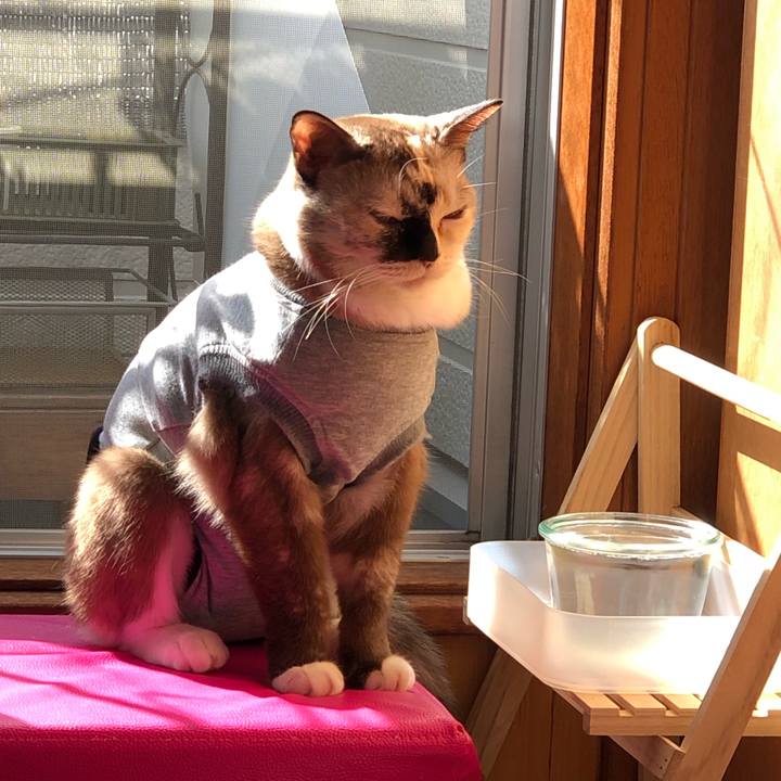 14bfa68d 5aef 4b44 becf 3a33c52bf3c9 1666490048494