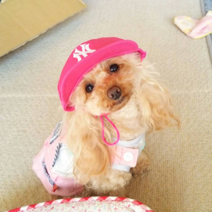 14bfb974 aee6 40e1 acb5 39b7ceb1292c 1516362451310