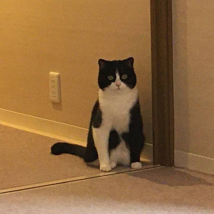 14bfe1fc d123 43c5 80d9 eed1ba6468bf 1619527455220