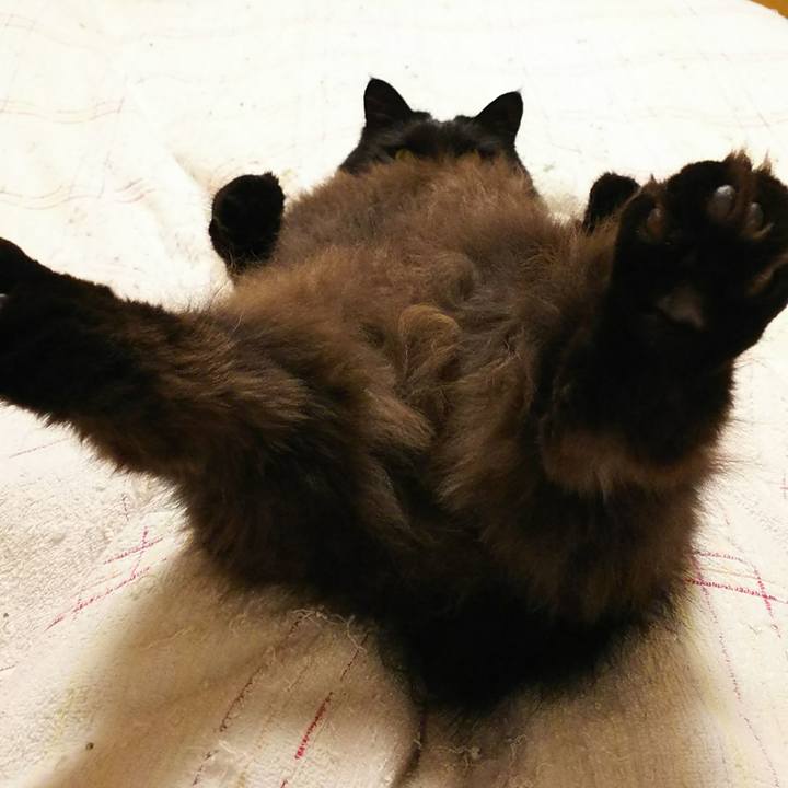 14c0048f d232 4345 90bf 97ee5c2cde18 1509374985760