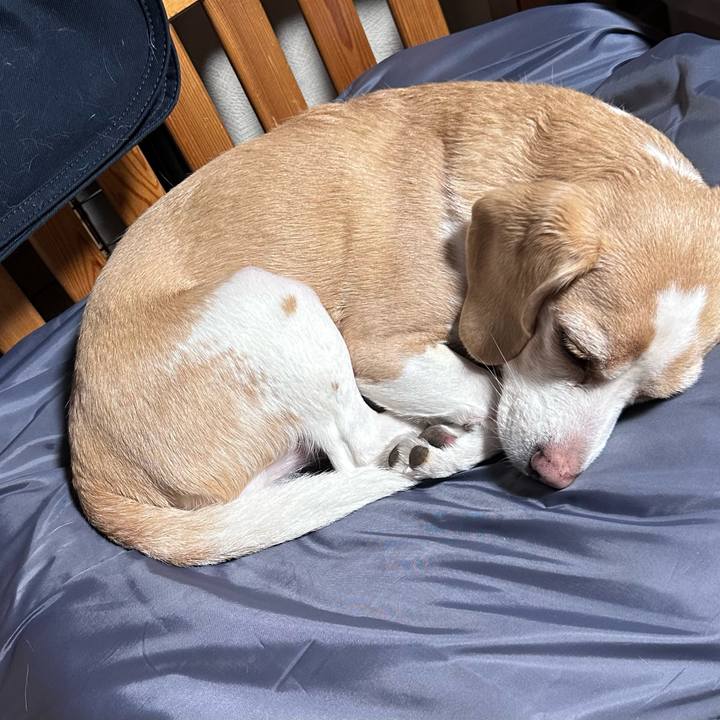 14c01dd5 dbf5 4e9f 8fad 84948d4d6102 1682584476560