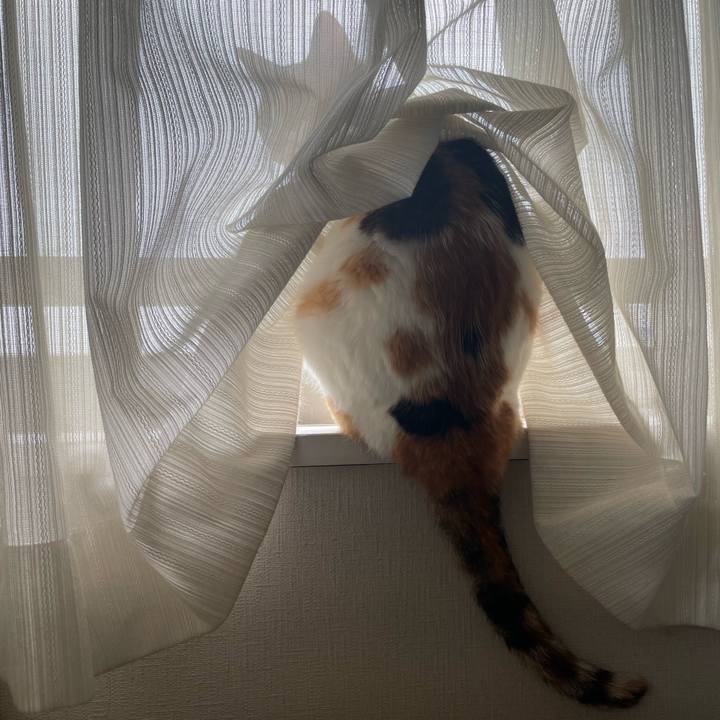 14c03a8f 3e00 4fd2 aee7 4498f533edba 1752449861871