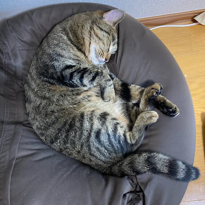 14c079fb d534 495d a4c1 8a583be08fa1 1594186983854