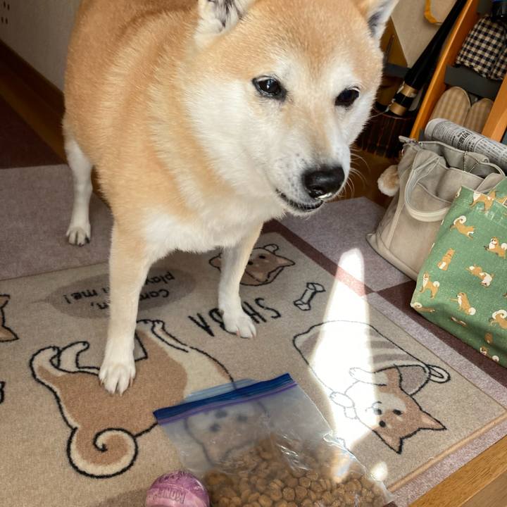 14c07b54 1884 4155 b9e3 6dffc4e70fd4 1613909401277