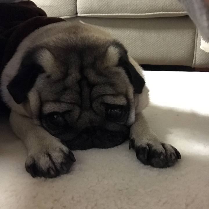 14c08b3e f158 4c2c 9ae3 3c4702a2c2fe 1519997345830