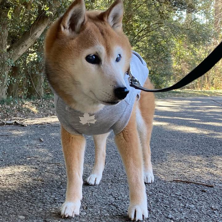 14c0c27e e751 42be ac2e 1b142503280e 1770093184337