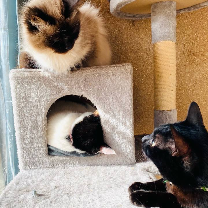 14c0c66a ac24 4235 ad38 775cd12d94f2 1676197617339