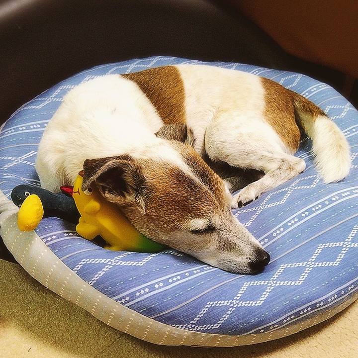 14c0d50a 55c8 4604 887f c39e3125c84d 1595594647532