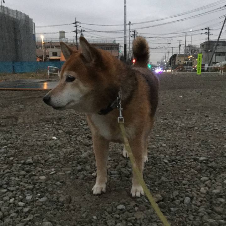 14c0f94c af47 4e87 b796 15d9790f7b47 1607158808180