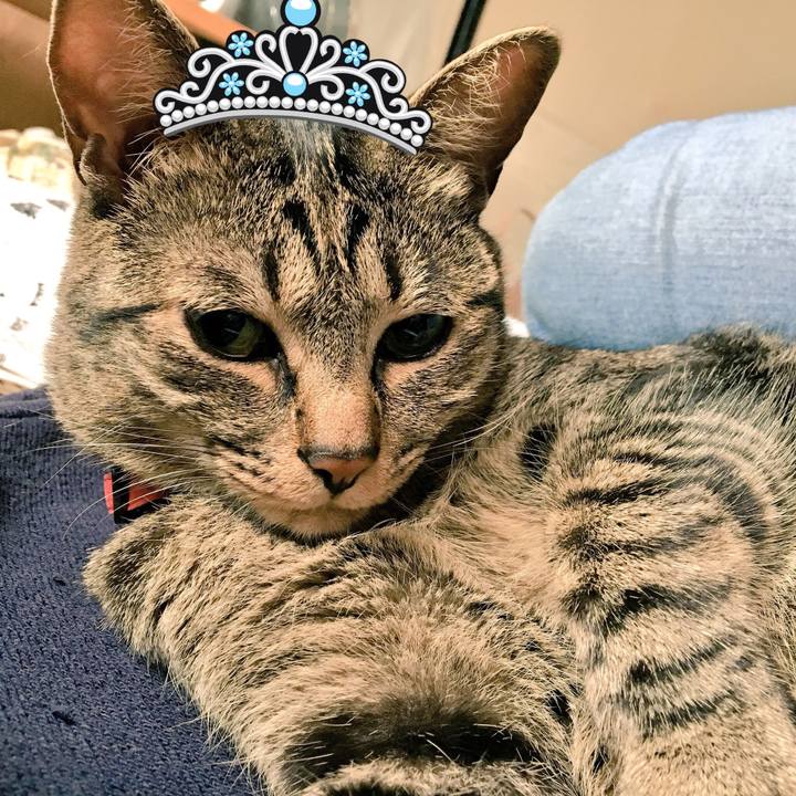 14c11ed4 c168 4a40 999c 4545ae67d7b9 1527863622098