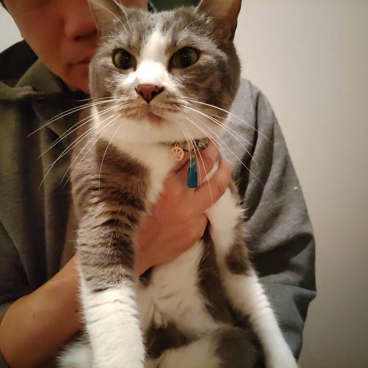 14c1654c 4317 4acd bf14 09074b36bcb5 1713878468826