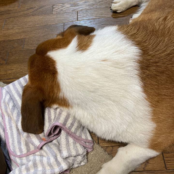 14c16ebc 25d2 47b2 b80a e147938941bf 1754441345465