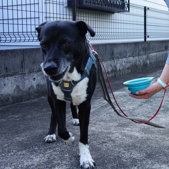 14c17b81 a280 4667 85b5 cf59d7827c08 1715390166975