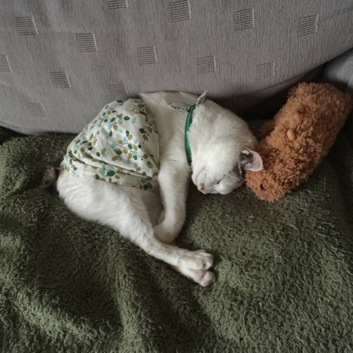 14c18759 4319 4060 941d a2bd8dc63863 1515846378332