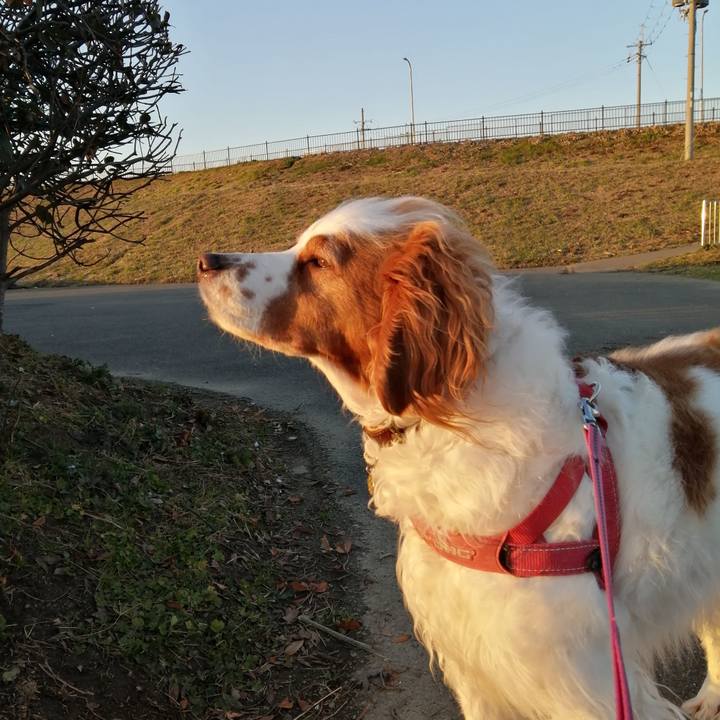 14c1b925 d8db 42ab bdc2 7c9a0745b533 1612603290656