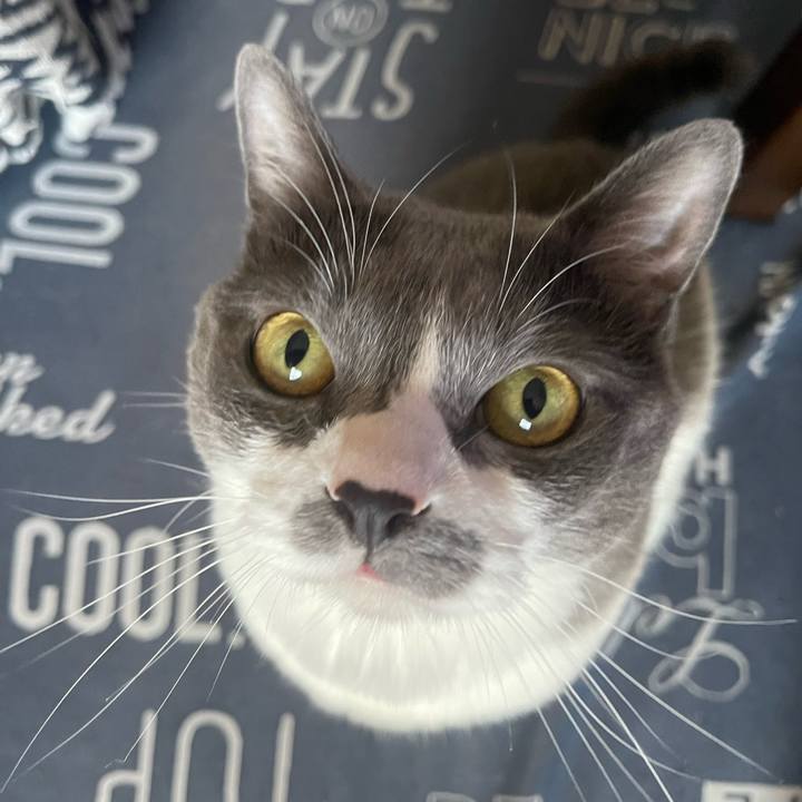 14c1c52d 532d 4b2d 9159 59f8464400bc 1750203250415