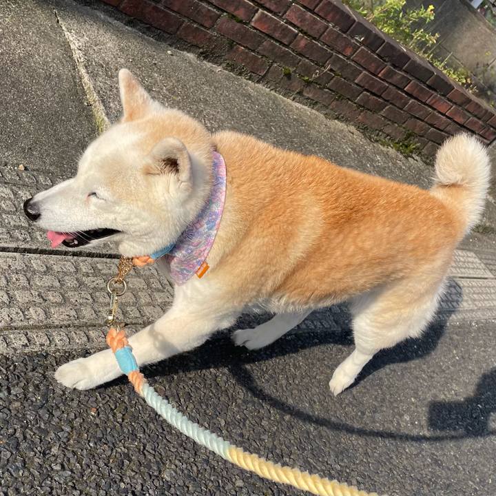 14c1f946 a33e 4e70 b0f1 13d83cfc8fed 1684402162362