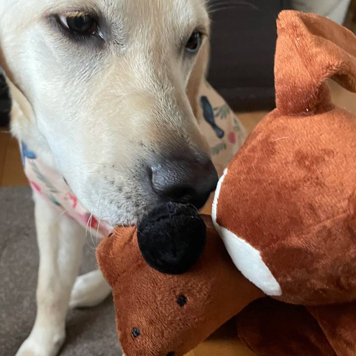 14c20cbe 73eb 4fb8 8ac0 677e3dd480e1 1622761954393