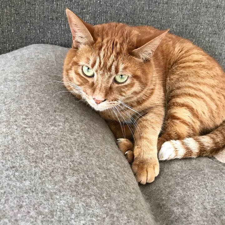 14c20d3e 3c5a 4a04 905a 0a5451e8efd8 1514635187327