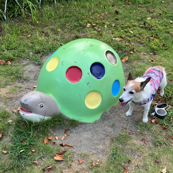 14c23c9a 327c 4d77 ac94 3b2eacbbc8b7 1692409706373