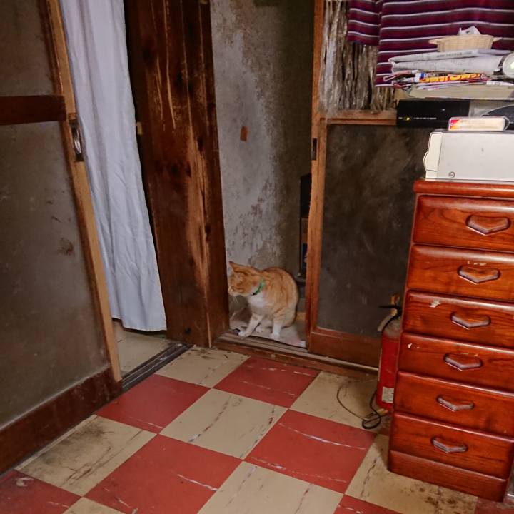 14c26bd2 9141 4cd5 9b97 ef6fb6bbd6d3 1585252495061