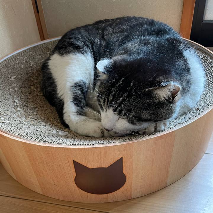 14c2ad90 7c60 46e1 9736 3e8e26cac73a 1683534551376