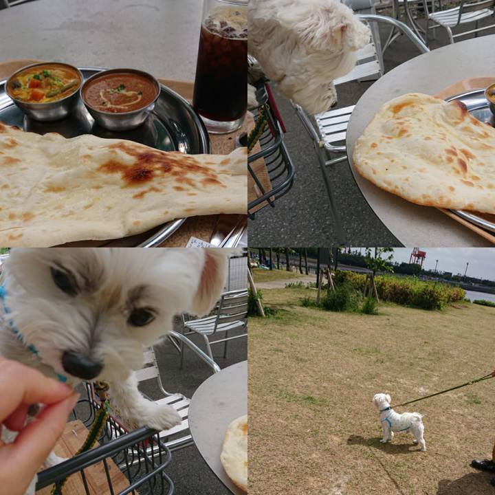 14c30e4e 399d 4b22 a30f 5a692b8ddeb1 1558261915554