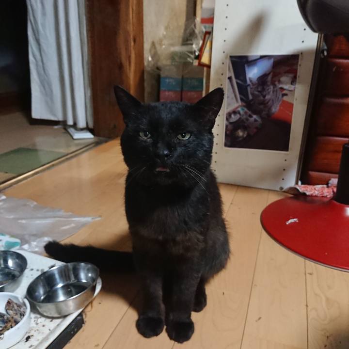 14c327e9 3e01 4ab0 b6d8 2e5f2bda6128 1626089485135