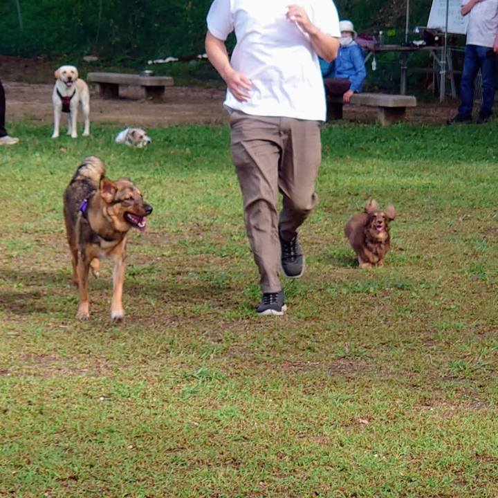 14c3566f 3c53 4ef2 a5ee 9f73d8f8c6f2 1695517090701