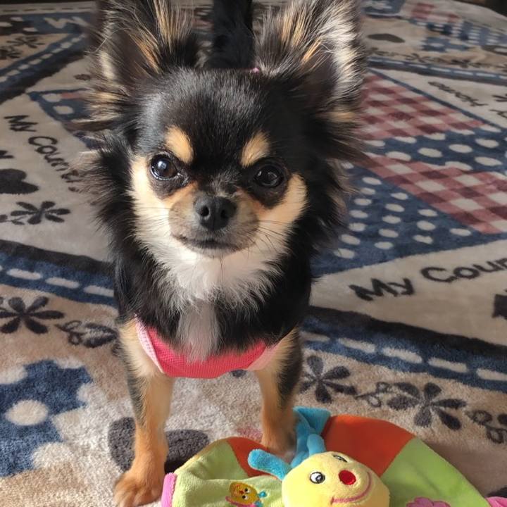 14c358df 93e7 4b26 86af 62788963e585 1547876745075