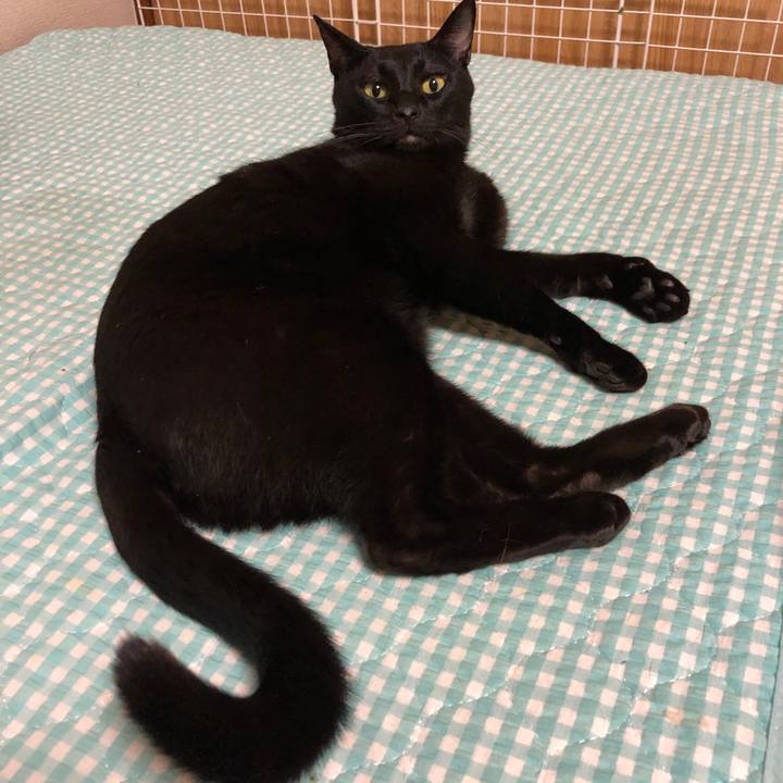 14c35d83 e8b2 4350 ab52 e3e364db2a3e 1663165247841