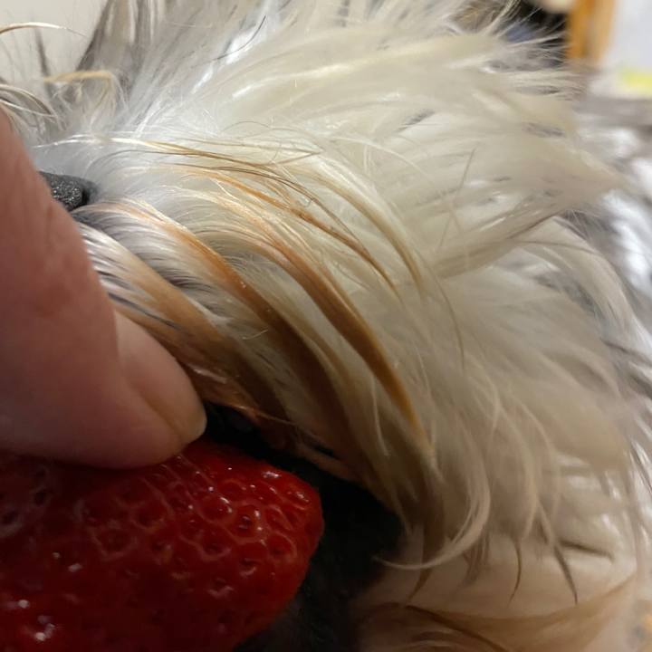 14c36256 69e3 4f0f bc8a 84ffedab15db 1590589437665