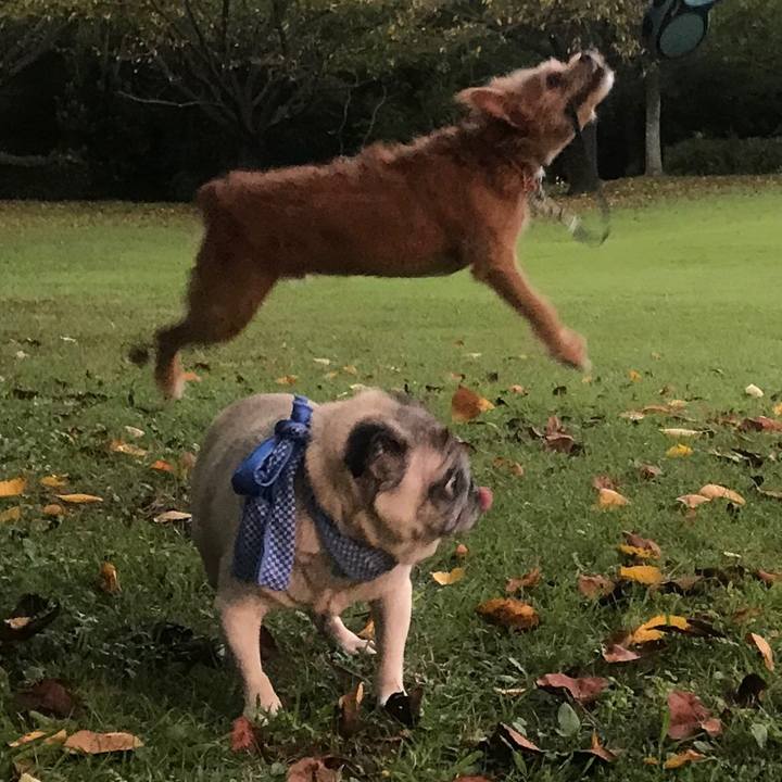 14c3641b ad22 4c79 9e40 e8c43875147e 1598443102064