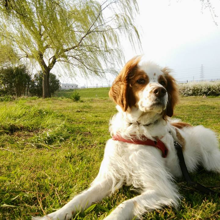 14c3801a 0b23 4d16 bc19 9e0a13c395cf 1553599019906