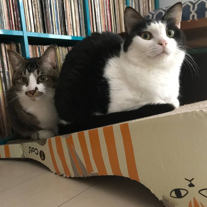 14c383e9 0764 4ce4 90c6 a8479e5bfc4a 1553216908181