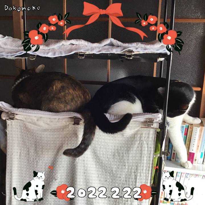 14c3861b f46b 424f a0a6 0220aeea3e41 1645490265620