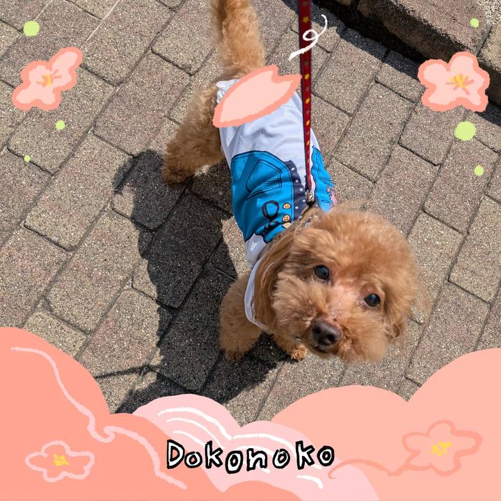 14c3a11a 6f0f 4e10 af1e b4721ea73fce 1775254087966