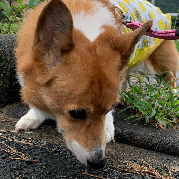 14c3b268 7913 44c8 b6c9 79c9967ffe3a 1724973596886