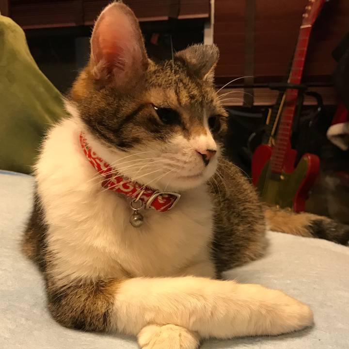 14c3e461 c28c 4b40 b29c 6d771c2623c9 1569499603069