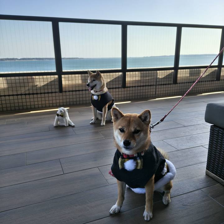 14c3e74f c92a 4181 bc39 41ff781b3321 1772873584216