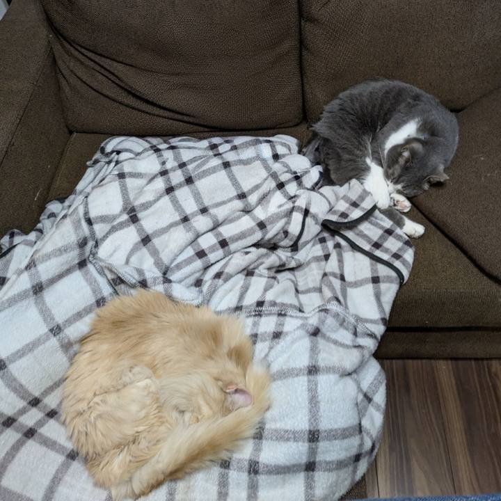 14c3f5b9 39f4 49fa b912 a97c3b78a98e 1773323188194