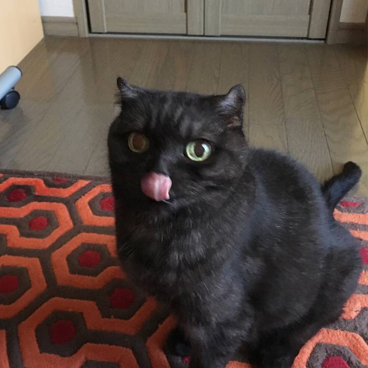 14c42115 c5cd 4da7 b44e a5b5cdcb1077 1566694181140