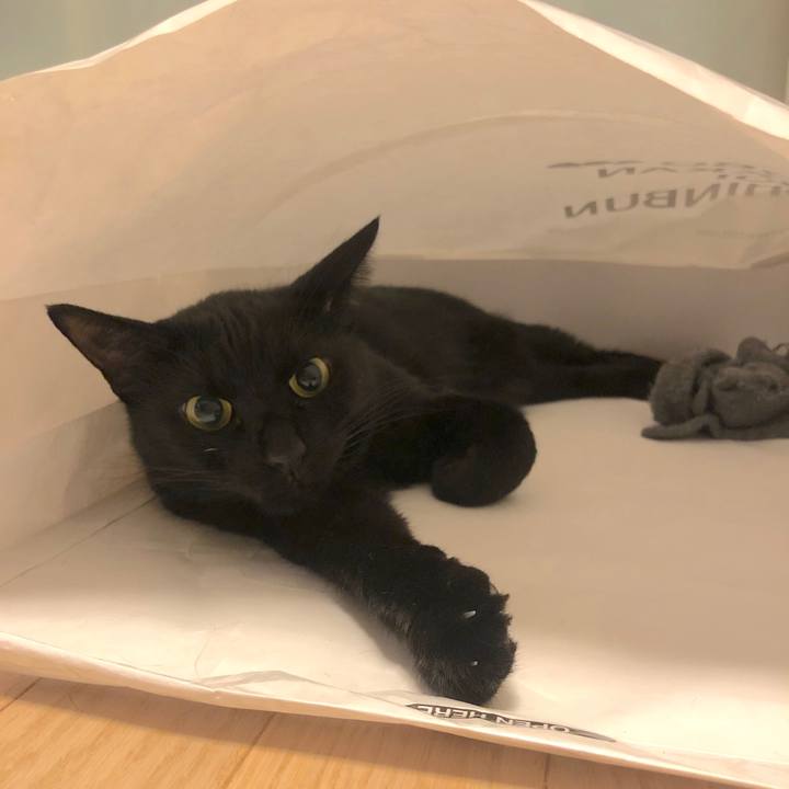 14c44e55 0508 4037 8a48 ffc934d5e3f2 1549027573613