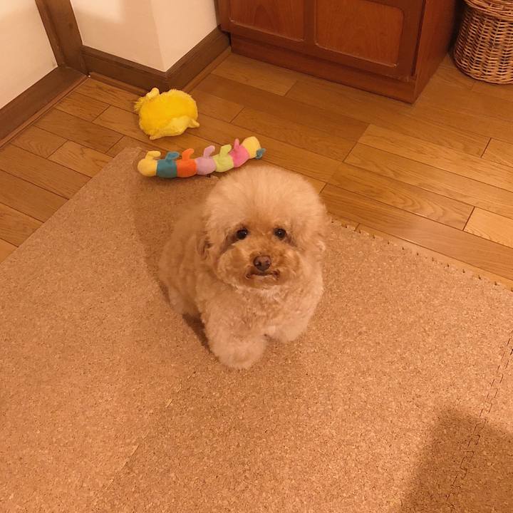 14c47cab 4b6b 4133 a1bf 72fd4dfa5c6b 1511010423952