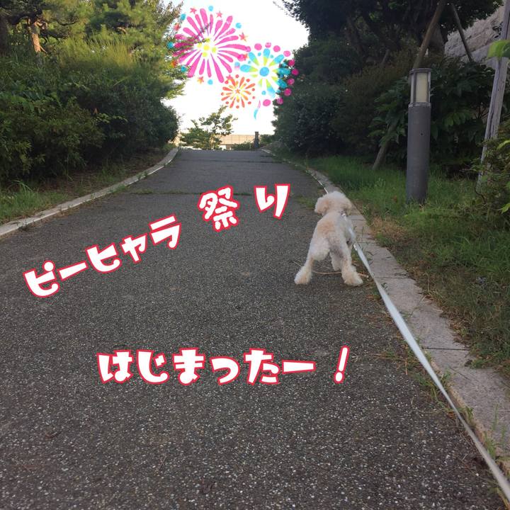 14c4a129 67ad 4c77 90a0 f6879a4bbe5d 1533330198163