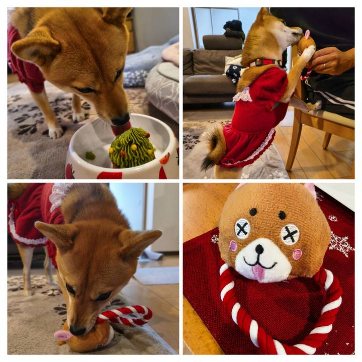 14c4bb09 65e1 46d6 9789 2ffd7bacbebb 1766568025119