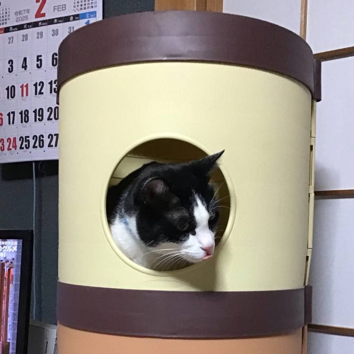 14c4e0ec 6646 4e1c 8549 bbe8c9a8da81 1740637201764