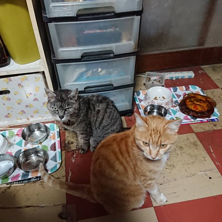 14c4e54c 7f57 43ab 84bf 6e6712bd5b66 1589446315115